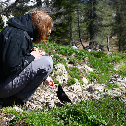 wandelen in Triglav Nationaal Park in Slovenië; foto bron Han Vroon