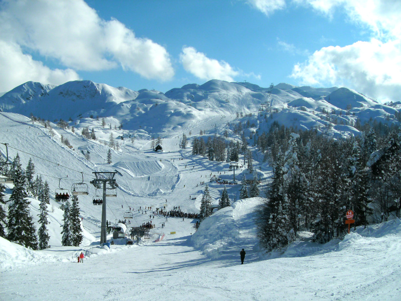 Vogel, skiën, winter, J. van Zoest