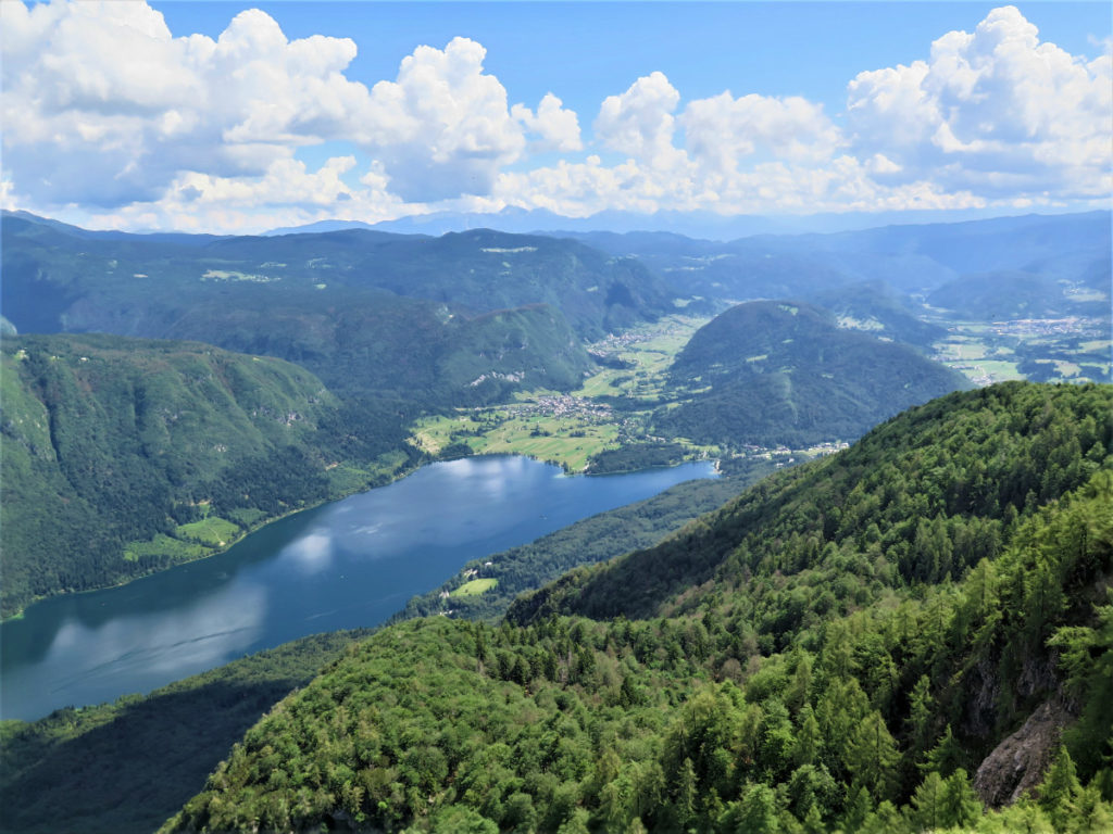 berg Vogel boven Bohinj meer in Slovenie