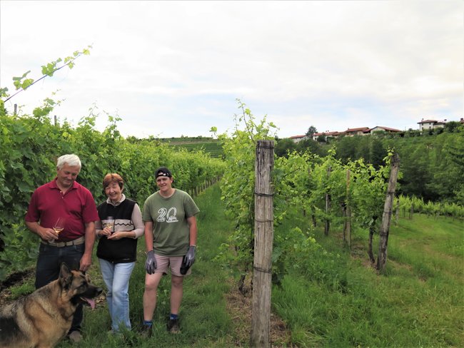 wijnboeren in Slovenie in Brda regio