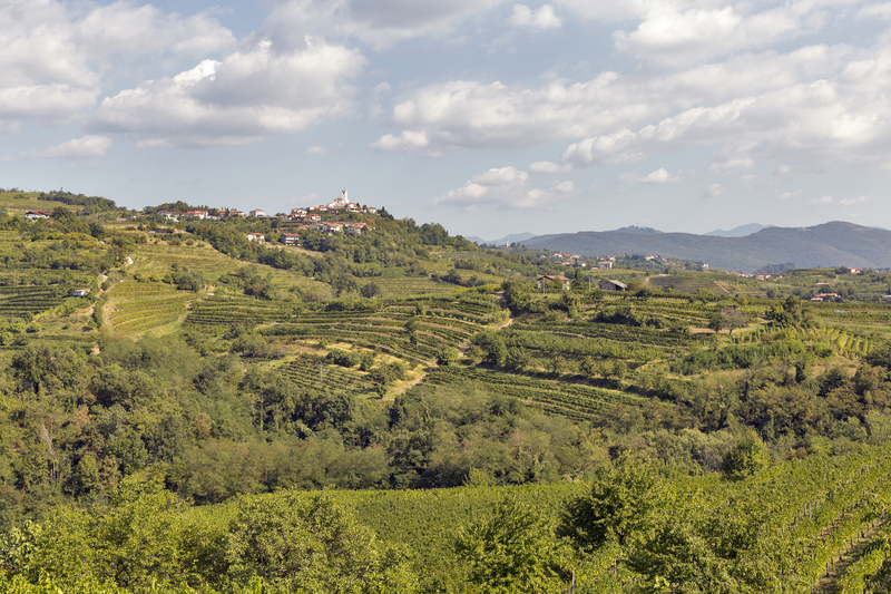 Smartno dorpje in Brda wijnregio najaar