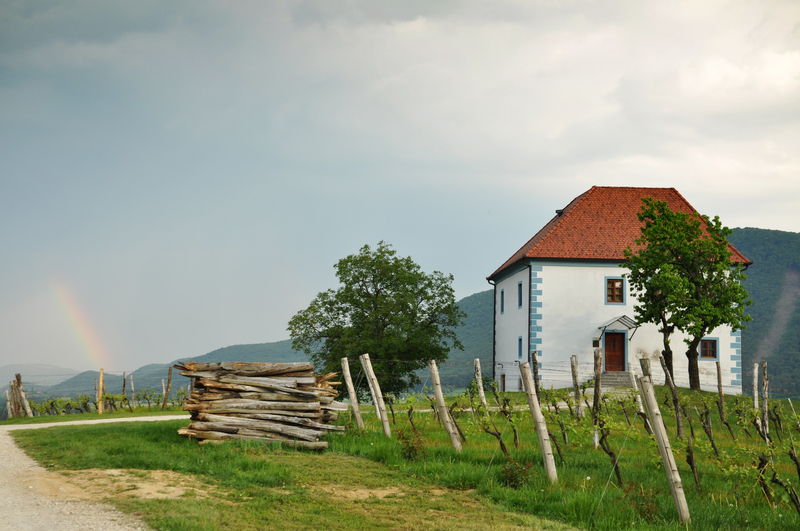 Skalce Slovenske Konjice wijngaarden