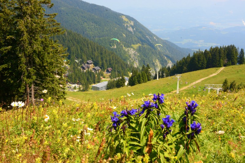 Slovenie accommodatie in de bergen Golte