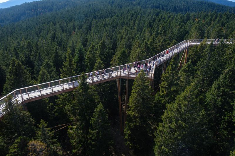 boomtop route Pohorje Rogla