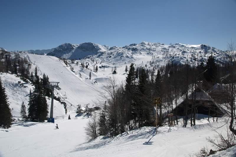 Vogel - ski slopes