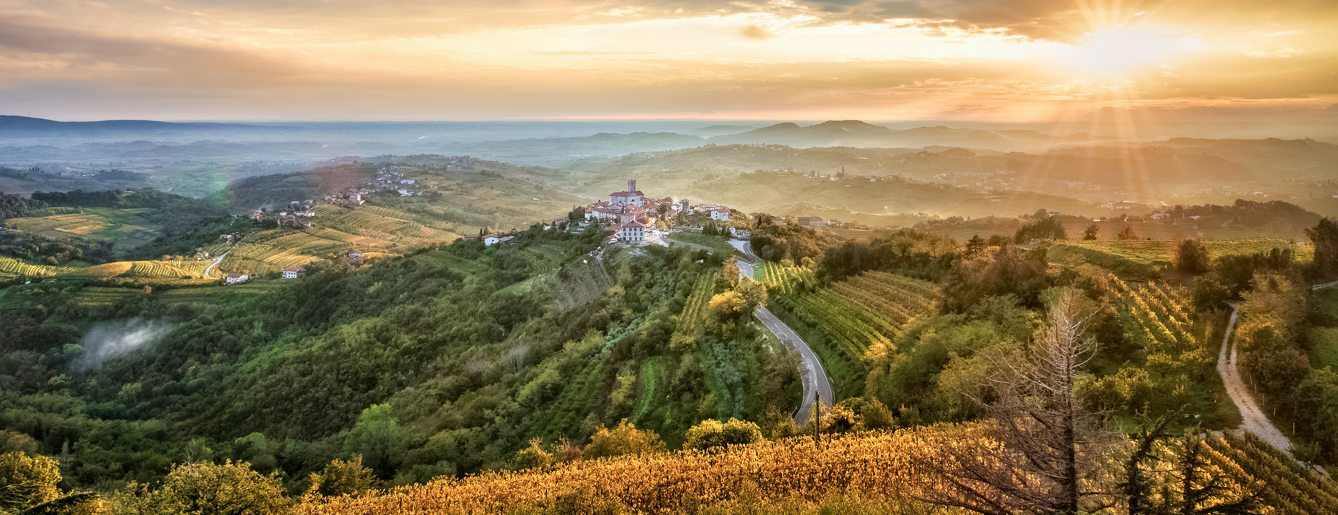 Brda panorama wijnregio slovenië