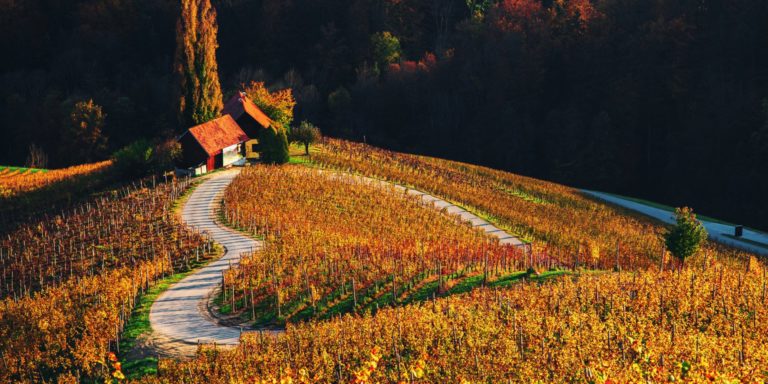 Slovenie herfst wijn