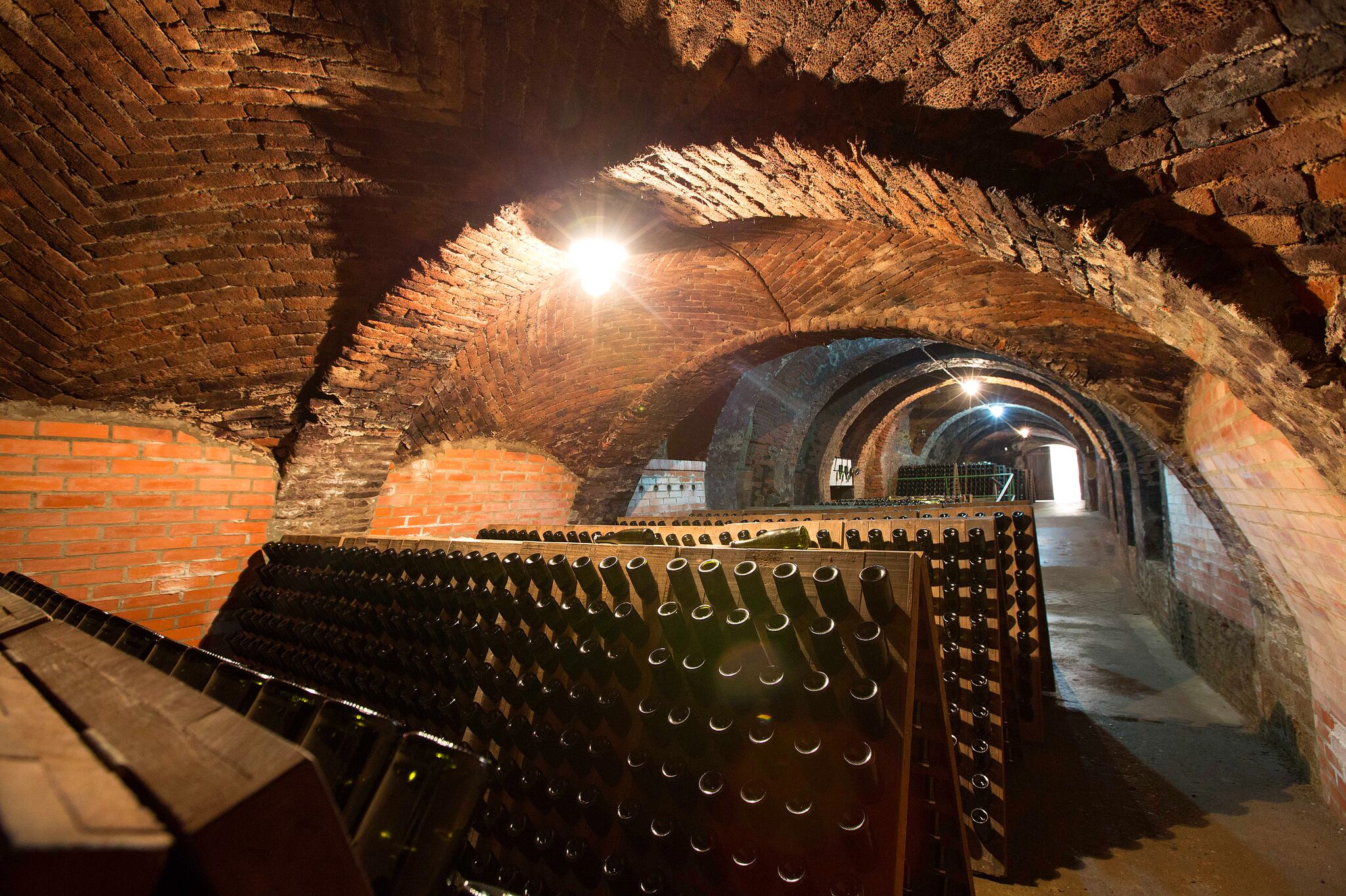 Radgonske gorice wine cellar
