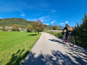 Bled fietsvakantie