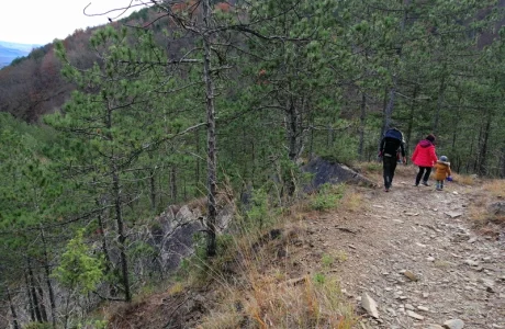 wandelen hond Sloveens Istrië