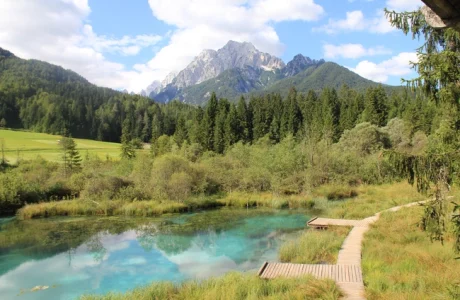 Natuurschat Zelenci nabij Kranjska Gora ligt op de route van de Juliana Trail.