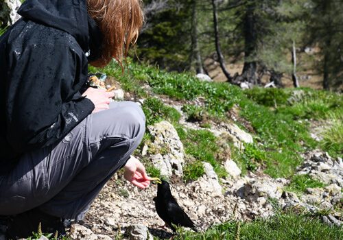 wandelen in Triglav Nationaal Park in Slovenië; foto bron Han Vroon